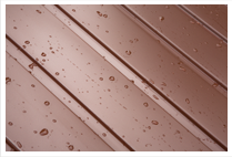 Blacha trapezowa www.producentblachy.majerowie.pl